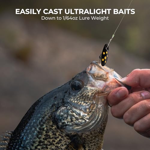 KastKing Zephyr Finesse Fishing Rods – BFS Baitcasting & Spinning Rods, IM6 Graphite, Extra Twin-Tip, 2pc & 3pc Travel Design, Ultra-Light Lure Casting, Stainless Steel Guides with Zirconium Rings - size: 6'9"- L- Fast (3pcs), style: Bait Finesse