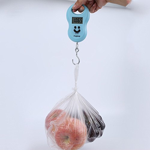 Pocket Portable 50kg/10g LCD Digital Scale Electronic Hand Held Hook Belt Luggage Hanging Scale Backlight Balance Weigting (1pcs Random Color) - color: 1pcs random color