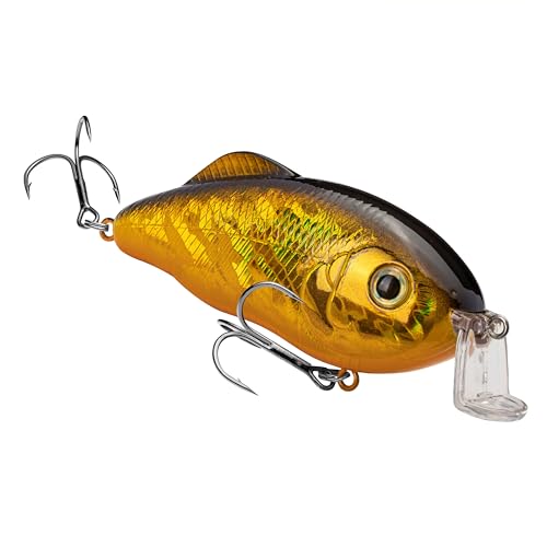 Strike King Hybrid Hunter Shallow Jr. Fishing Lure, Shallow Diving Crankbait, 90-Degree Bill, 3D Eyes, Loud Rattle, Dives 1 to 3-Feet,Size 4 & 6 Treble Hooks - color: Gold/Black Back, size: 1 oz