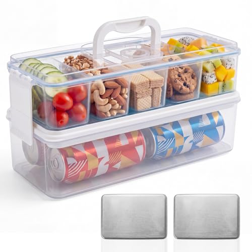 Homelove Snackle Box Container, Snack Organizer Divided Serving Tray with 2 Stainless-Steel Ice Packs, Lid with Handle, Double-layer Tray and 5-Compartment Snack Platter for Travel Party Beach Picnic - color: E