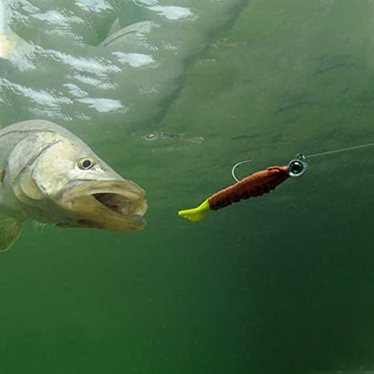Dr.Fish 10 Pack Fishing Eyes Jigs 3D Eyes Trout Heads Bass Hook Saltwater Swimbait Jig Heads Freshwater Walleye Redfish Striper 1/2oz 3/8oz 1/4oz 3/16oz - color: White Eyes, size: 1/2oz-Hook #5/0