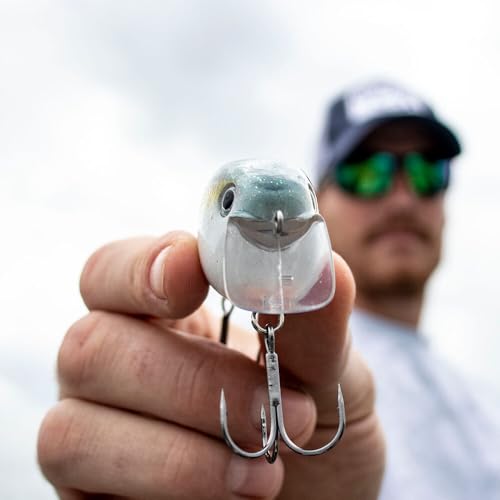 Strike King KVD 2.5 Wake Bait Fishing Lure, 3/8 oz, Unique Clacking Sound - color: 590 - Sexy Shad