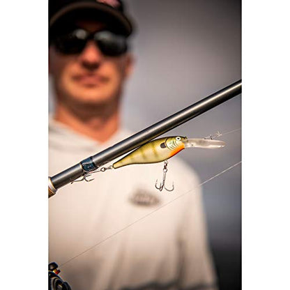 Berkley Flicker Shad Fishing Lure, Black Brass, 5/16 oz, 2 3/4in | 7cm Crankbaits, Size, Profile and Dive Depth Imitates Real Shad, Equipped with Fusion19 Hook - color: Black Brass, size: 2 3/4in - 5/16 oz