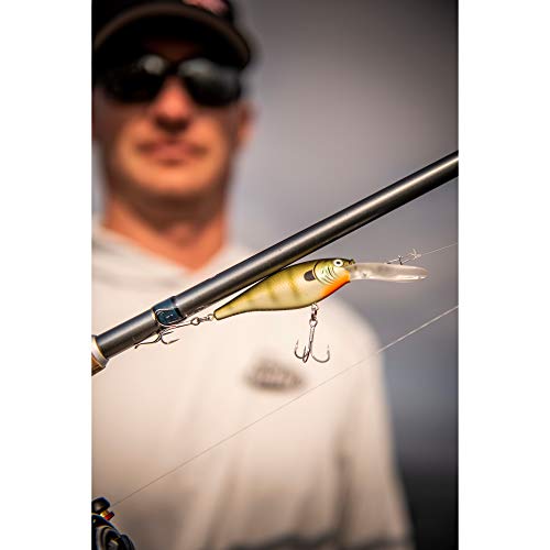 Berkley Flicker Shad Fishing Lure, Black Silver, 3/16 oz, 2in | 5cm Crankbaits, Size, Profile and Dive Depth Imitates Real Shad, Equipped with Fusion19 Hook - color: Black Silver, size: 2in - 3/16 oz