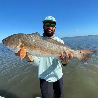 A.M. Fishing Curly Tail Jerkshad 4 Inch Soft Baits Garlic Infused,– 8 Pack – Saltwater & Freshwater Fishing Lures for Bass, Redfish, Snook, and Trout - color: OG Purple Haze