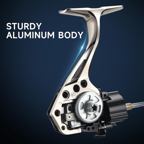 HAUT TON LT Metal Spinning Fishing Reel, Freshwater and Saltwater Fishing Reels, 5+1 Stainless Steel BB, 39.5Lbs Max Drag, CNC Aluminum Handle 3000/4000/5000/6000 for Casting Reel - size: 3000
