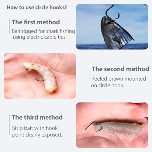 Catfishing Circle Hooks 50/100Pcs Octopus Fishing Circle Hooks Saltwater Freshwater for Catfish Bass Redfish 1/0 2/0 /3/0 4/0 5/0 6/0 7/0 8/0 9/0 10/0 12/0 14/0 - size: 50PCS 5/0