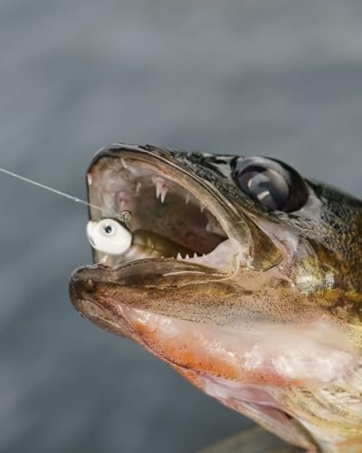 Dirty Jigs Guppy Jig Head, 1/0 Hook - USA Made, 1/8-3/8oz, 3 Count - color: Naked Shad, size: 3/16oz