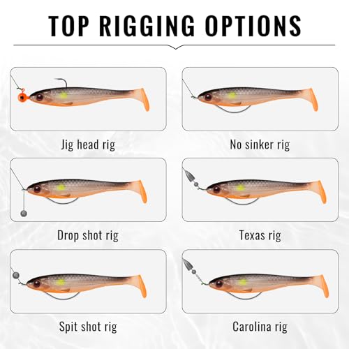 TRUSCEND Shadtale Easy Catch Soft Fishing Lures, Unique Vibration and Action for Various Rigs, Paddle Tail Swimbaits Trailer for Bass, Trout, Crappie, Walleye, Redfish, Saltwater & Freshwater Fishing - color: 3",20pcs,0.15oz