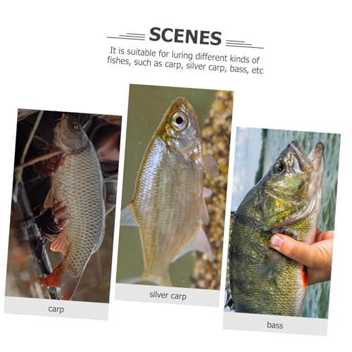 BESPORTBLE 4pcs Fish Measuring Ruler Foldable Measuring Board for Accurate Fish Measurement Portable Fishing Gear for Freshwater and Use Design