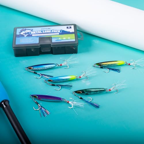 Goture Fishing Jigs, 30g 40g 50g 60g Vertical Jig Saltwater Freshwater, Jig Lures with Assist Hook and Treble Hook, 5PCS Jigging Spoon Lures with Tackle Box, Fishing Jigs for Tuna, Salmon, Bass - color: A2 with Tackle Box, size: 30g