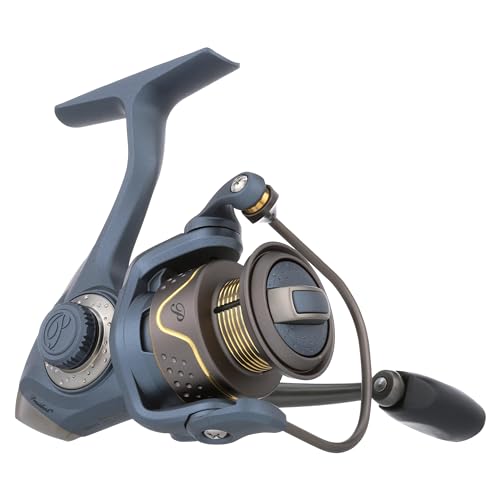Pflueger President Spinning Fishing Reel - size: 25 - Box, style: New Model