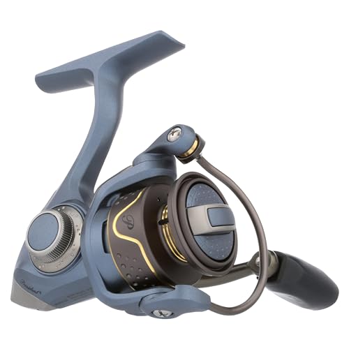 Pflueger President Spinning Fishing Reel - size: 20 - Box, style: New Model
