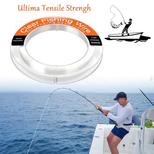 Clear Fishing Line Wire 755 ft, Invisible Monofilament Fishing Line Wire, Nylon String for Hanging Balloons Garland Crafts Picture Decorations, Clear String Threads Cords WUINOID - style: 0.2mm/1640ft