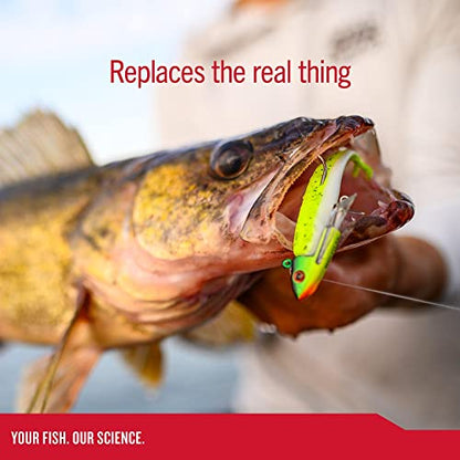Berkley Gulp! Minnow Fishing Soft Bait - color: Blue Shiner, size: 2 1/2"