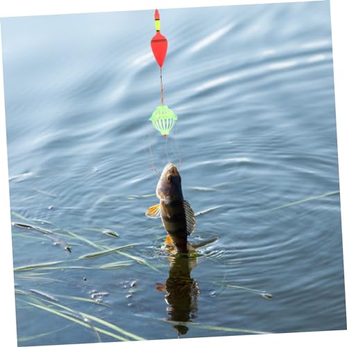 TOYANDONA 1Set Outdoor Fishing Lure Kit for Carp Bighead Carp Durable Float Fishing Tackle with Premium Hooks Lightweight Portable Fishing Supplies