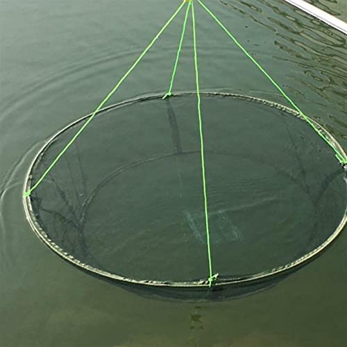 Fishing Accessories - 80/100cm Folding Fishing Net Hanging Wire Mesh Steel Wire Mesh Fish Cage Bait Crab Shrimp Pier Pond Shrimp Trap Minnow Mesh Net