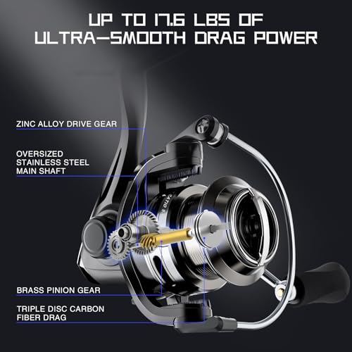 Ashconfish KF Spinning Reel, Freshwater Saltwater Spinning Fishing Reels, CNC Aluminum Spool, 5.2:1 Gear Ratio, 7+1 Ball Bearings 2 Line Cup Styles - size: 5000, style: Shallow Spool Line Cup(kfb)