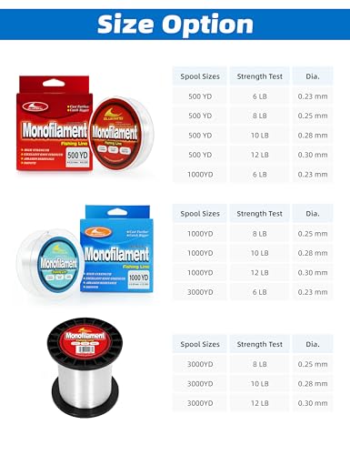 BLUEWING Monofilament Fishing Line Clear Mono Fish Wire Thin Diameter String 6-400 lbs, 50-3000 Yards - color: 01-Clear, size: 0.28mm/10lb/3000YD