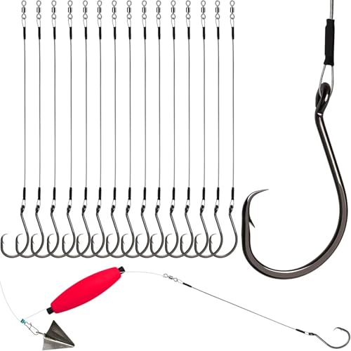 Dovesun 30PCS/20PCS Circle Hooks Fishing Pre-Rigged Catfish Rig for Saltwater Freshwater Catfish Hooks with Wire Leader 2/0 4/0 6/0 8/0 10/0 - color: E-8/0 Circle Hooks Kit-20PCS