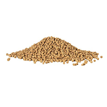 Aqueon Shrimp Pellets Sinking Food for Tropical Fish, Goldfish, Loaches, Catfish and Other Bottom Feeding Fish, 6.5 Ounces | Nutritious Sinking Pellets for Loaches, Catfish, Goldfish, Supports Immune Health, Won't Cloud Water, 6.5 Oz - size: 6.5 Ounce (Pa