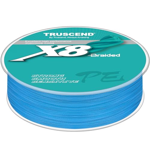 TRUSCEND X8 Braided Fishing Line, Durable and Valuable PE Braid Line for Professional, More Thinner More Smoother Performance for Casting Well, Must-Have Freshwater Fishing Gear, Fishing Gift for Men - color: Blue, size: 25 LB (300 yards)