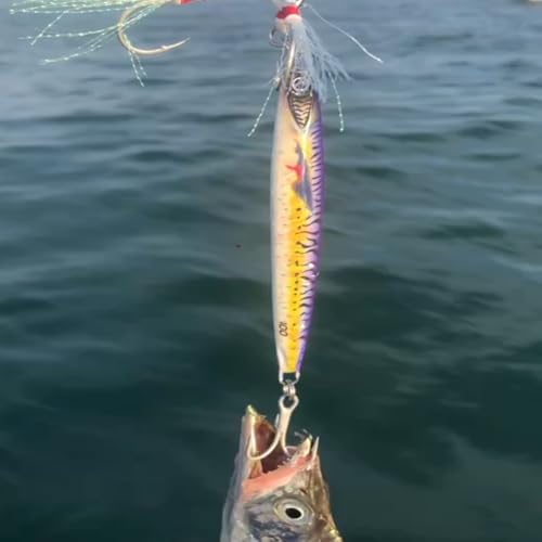 Ice Fishing Lures, Metal Jig Lures, Hard Baits for Bass, Saltwater Jigging Lures, Slow Pitch Jig Catch More Fish, Durable and Well-Made Bass Trout Tuna Lures with VMC Hooks (AH9563)