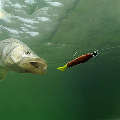 Dr.Fish 10 Pack Fishing Eyes Jigs 3D Eyes Trout Heads Bass Hook Saltwater Swimbait Jig Heads Freshwater Walleye Redfish Striper 1/2oz 3/8oz 1/4oz 3/16oz - color: White Eyes, size: 3/16oz-Hook #1/0