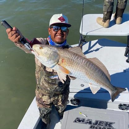 A.M. Fishing Curly Tail Jerkshad 4 Inch Soft Baits Garlic Infused,– 8 Pack – Saltwater & Freshwater Fishing Lures for Bass, Redfish, Snook, and Trout - color: Pearl Treuse