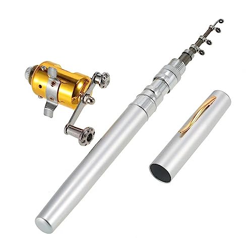 Jatzde Mini Portable Pocket Fish Rod Pen Aluminum Alloy Fishing Rod Pole Reel Combos… - color: Silver