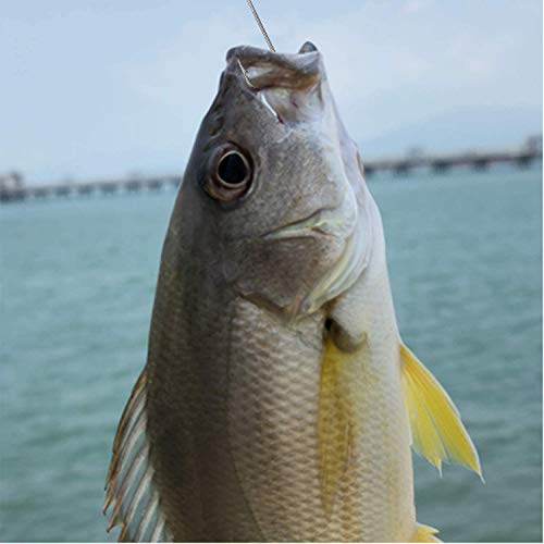 Aberdeen 150pcs 90 Degree Long Shank Forged Duratin Jig Hooks - Round Bend High Carbon Steel Barbarian Saltwater Fishing Kit 1/0-5/0