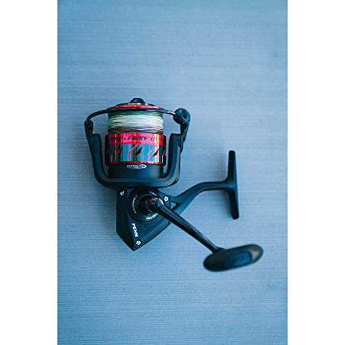 Penn Fierce III Spinning Inshore Fishing Reel, Size 2000, Right/Left Handle Position, 5 Bearings for Smooth Operation - size: 3000 - Box, style: Fierce III