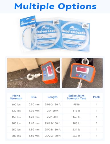 BLUEWING Monofilament Wind-on Leader High Strength Mono Loop to Loop Fishing Leader Line for Vertical Jigging, Swordfish & Trolling - size: 100lb / 150ft, style: Mono