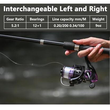 Fishing Pole Combo 2PCS Telescopic Fishing Rod and Aluminum Reel Combos with Carrier Bag Sea Saltwater Freshwater Fishing Rod Reel Kits