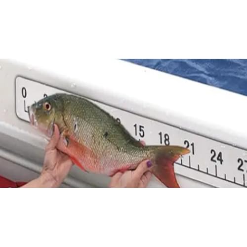 EVA Foam Fish Ruler 40 Inches Waterproof Measuring Mat Backing Adhesive Foam Sticker Measuring Ruler for Boats Sailboats Yachts Kayaks (40") (Brown)