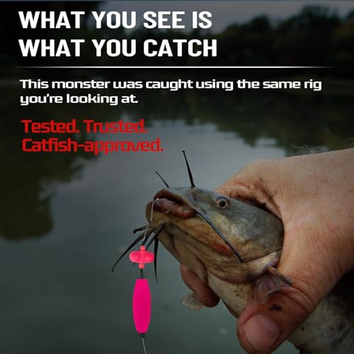 Narcissus Catfish Rigs Set – 6 Pre-Tied Rigs with 2 Sinker Sliders, Float Rigs Tackle, Santee Rig, Circle Hooks 6/0 – Complete & Ready-to-Use Kit - color: Hook Size 6/0-Weight 2 oz New