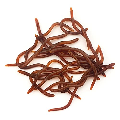 Lures Baits Soft Artificial Earthworm Freshwater Saltwater Bass Soft Lures Fishing Accessories Lifelike-Fake Bloodworm-grub - color: 3.5cm50 pack wine re