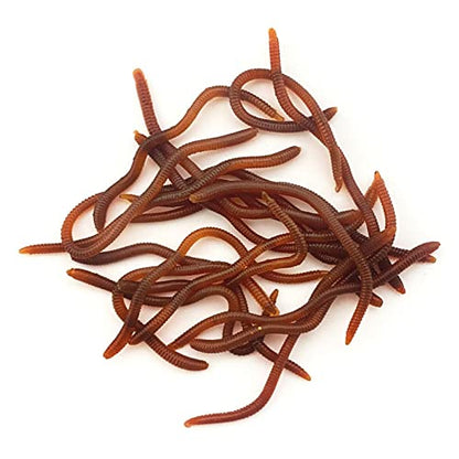 Lures Baits Soft Artificial Earthworm Freshwater Saltwater Bass Soft Lures Fishing Accessories Lifelike-Fake Bloodworm-grub - color: 3.5cm50 pack wine re