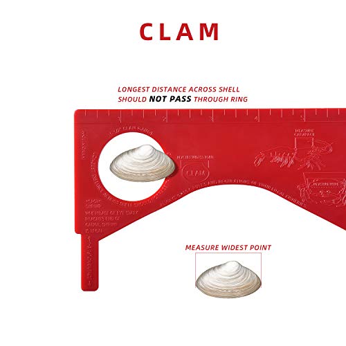 Dungeness Crab Gauge Measure with Ruler Multi Shrimp Clam Measuring Tool for Oregon, Washington and California - style: RD-3