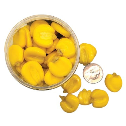 WCB Carp Baits - Flavored Jumbo Corn Bait - Ideal for Carp Fishing - style: Flavor: Carp Candy