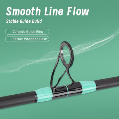 Surf Rod Saltwater 9ft- 4-Piece Carbon Fiber Surf Fishing Rods, Portable Travel Surf Spinning Rod with 20-40lb Power Green Blue - color: Green, size: 10FT Surf Rod