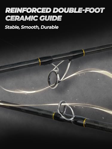 Jenseits Carbon Fiber Fishing Rod Series (6-12 Ft), Spinning & Casting Rods with Stainless Steel Ceramic Guides, Fast Action Fishing Pole for Bass, Trout, Walleye & Surf Fishing - size: 8'0"-Heavy-Fast-Black, style: Spinning