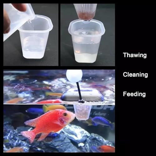 Fish Food Cup | Floating Container with Suction Cup | Fish Food Holder,for Live Bait Freshwater Tank Feeding Care Portion Control