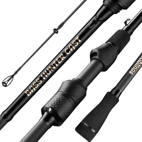 ROOBLINOS BASS Hunter 6.9ft Casting Spinning Freshwater Saltwater Rod Heavy Power Fast Action Fishing Pole 2-Piece Black Lightweight Sensitive Graphite Rod for Bass & Pike Lake River Boat Fishing