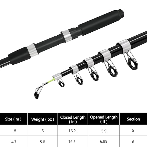 Fishing Pole Combo 2PCS Telescopic Fishing Rod and Aluminum Reel Combos with Carrier Bag Sea Saltwater Freshwater Fishing Rod Reel Kits