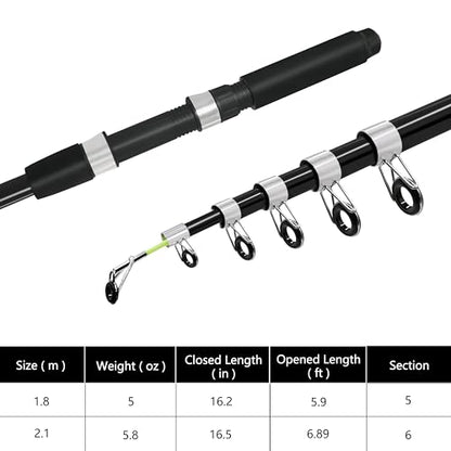 Fishing Pole Combo 2PCS Telescopic Fishing Rod and Aluminum Reel Combos with Carrier Bag Sea Saltwater Freshwater Fishing Rod Reel Kits