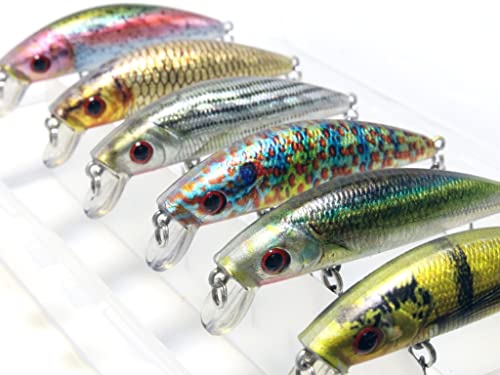 Minnow Crankbait for Bass Fishing Bass Lure Jerkbait Fishing Lures and Tackle Box - color: HM219KB