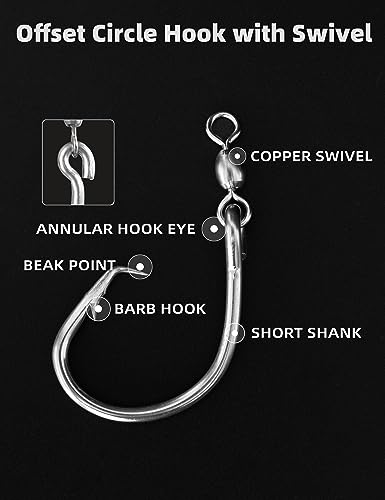 BLUEWING Offset Circle Hook with Swivel Stainless Steel 5pcs/10pcs Extra Sharp for Freshwater Saltwater Big Game Fishing - style: Size 01: 3/0, 10pcs