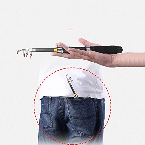 Fishing Rod, Universal Mini Small Sea Pole Portable Short Pole Ice Fishing Rod Mini Pocket Sea Fishing Tools for Ice Fly Fishing Sea Saltwater Kit Gift for Festivals - size: 1.9M