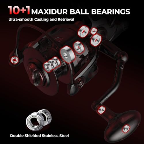 KastKing Sharky Baitfeeder III Spinning Reel 10+1 Shielded Stainless Steel BB - Carbon Fiber Drag for Live Liner Bait Fishing Action - style: 2000